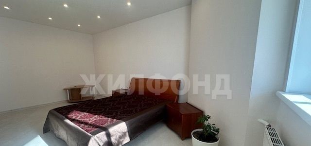 квартира г Новосибирск метро Площадь Гарина-Михайловского р-н Железнодорожный ул Салтыкова-Щедрина 128 фото 16