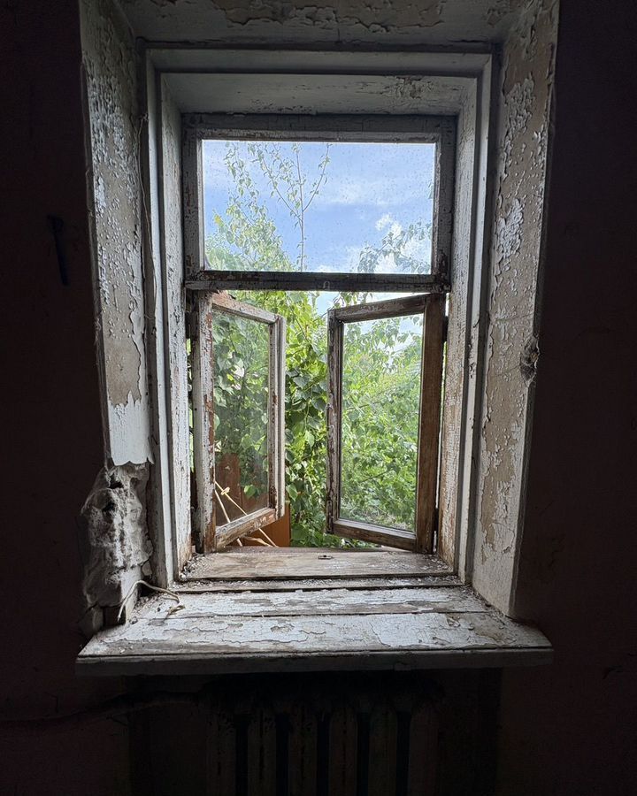 дом г Дзержинск территория Бабушкино, ул. Фрунзе, 39 фото 12
