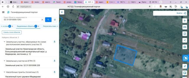 р-н Большемурашкинский д Медведково 12 фото
