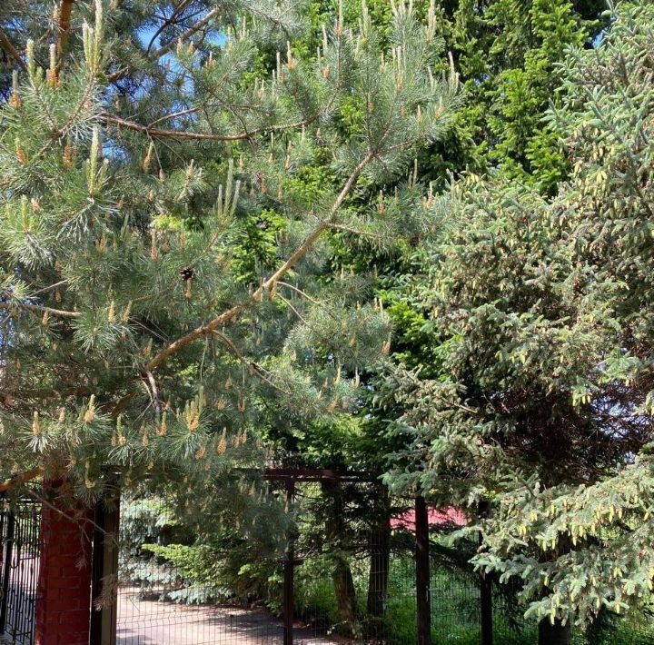 дом г Домодедово д Истомиха Домодедовская, 120 фото 6