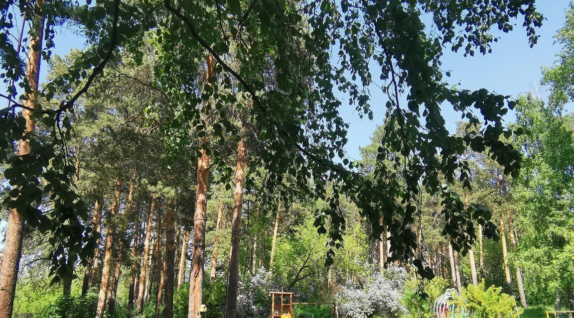 квартира г Екатеринбург Геологическая ул Летняя 5 фото 4