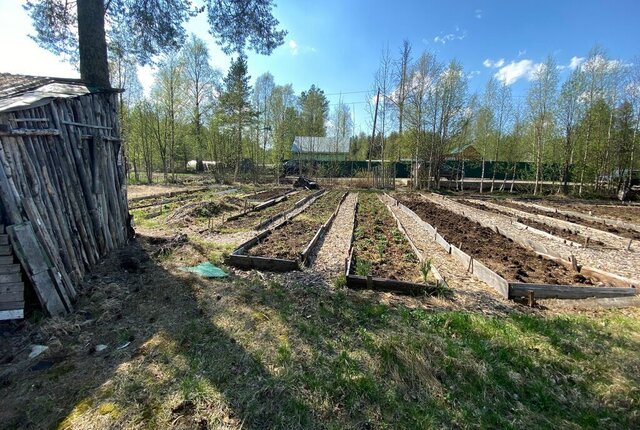 земля снт Ваганиха 502 фото
