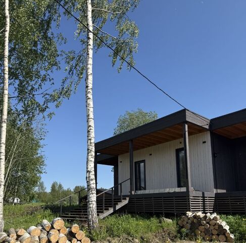 п Новое Токсово Токсовское городское поселение, Токсово Озеро Парк кп, Девяткино фото