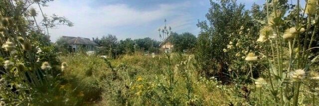 Елизаветинское с/пос фото