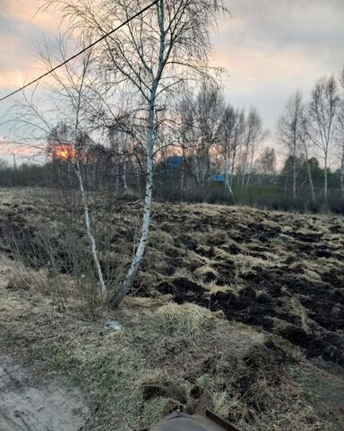 земля снт Садовое некоммерческое товарищество собственников недвижимости Романтик, Тюмень фото