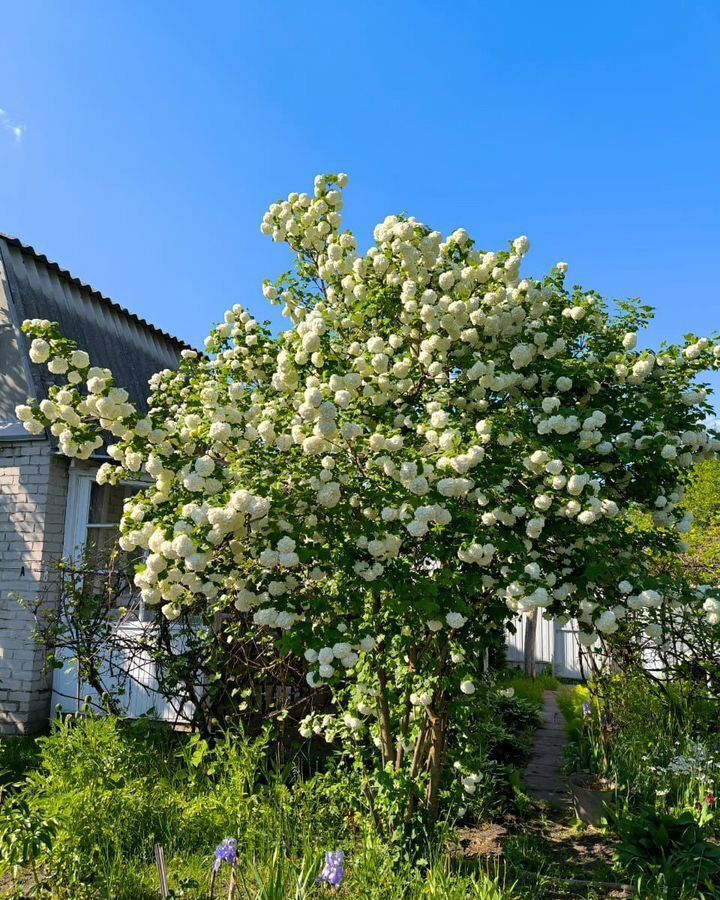 дом г Липецк р-н Правобережный 21-я ул., 44, СНТ Металлург-4 фото 14