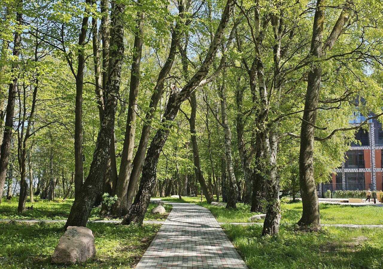 квартира р-н Светлогорский г Светлогорск ул. Дюнная, д. 21, корп. 1 фото 6