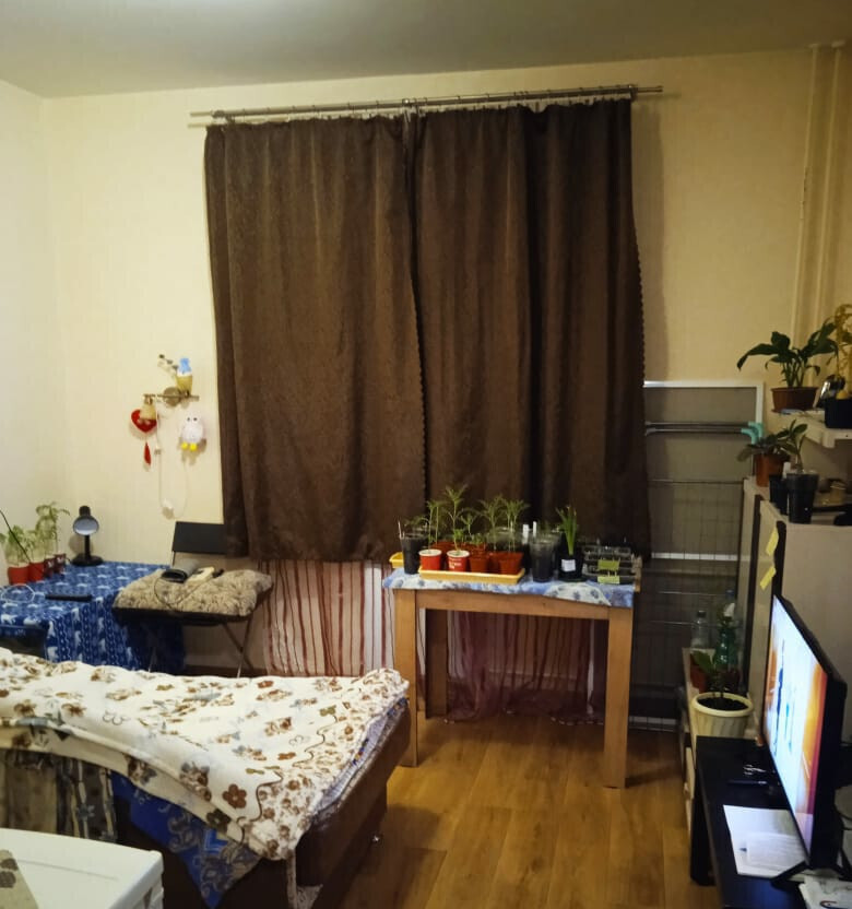 квартира г Нижний Новгород Бурнаковская м-н, Бурнаковский, 69 фото 1