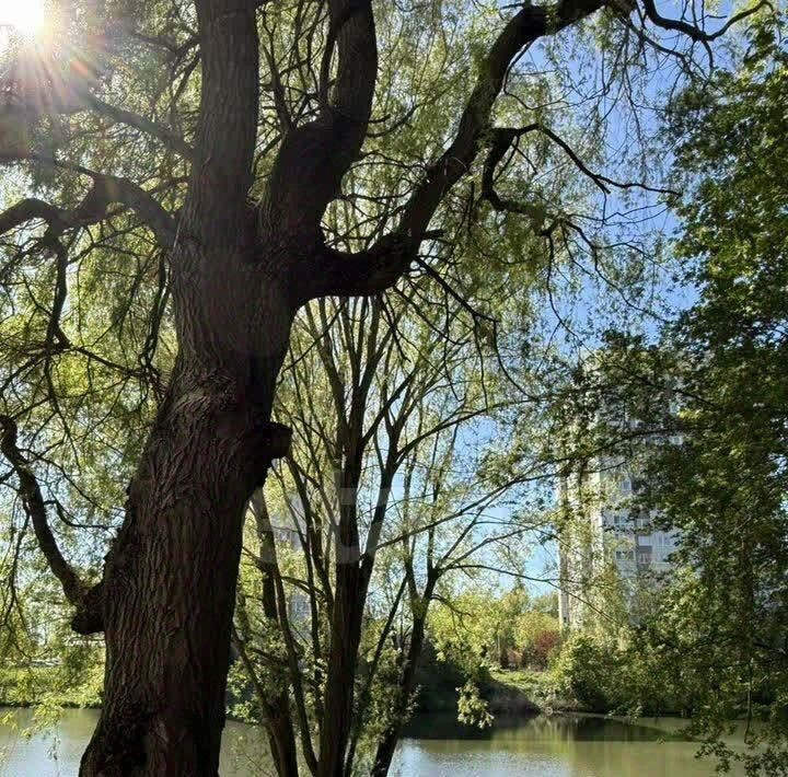 квартира г Калининград р-н Ленинградский пер Ялтинский 4 фото 18
