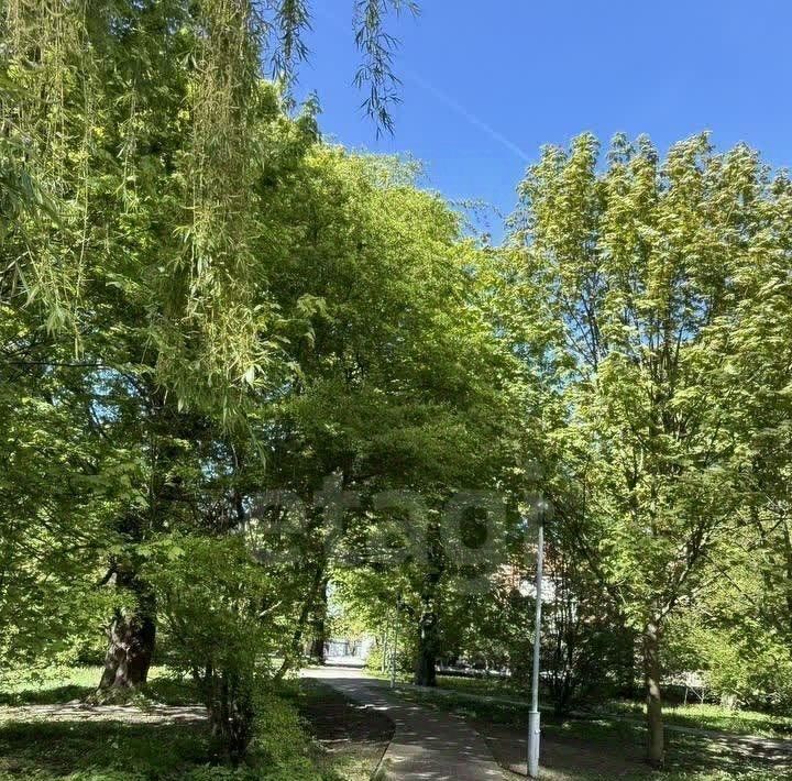 квартира г Калининград р-н Ленинградский пер Ялтинский 4 фото 26