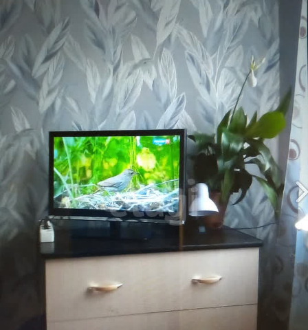 ул Герцена 40а фото
