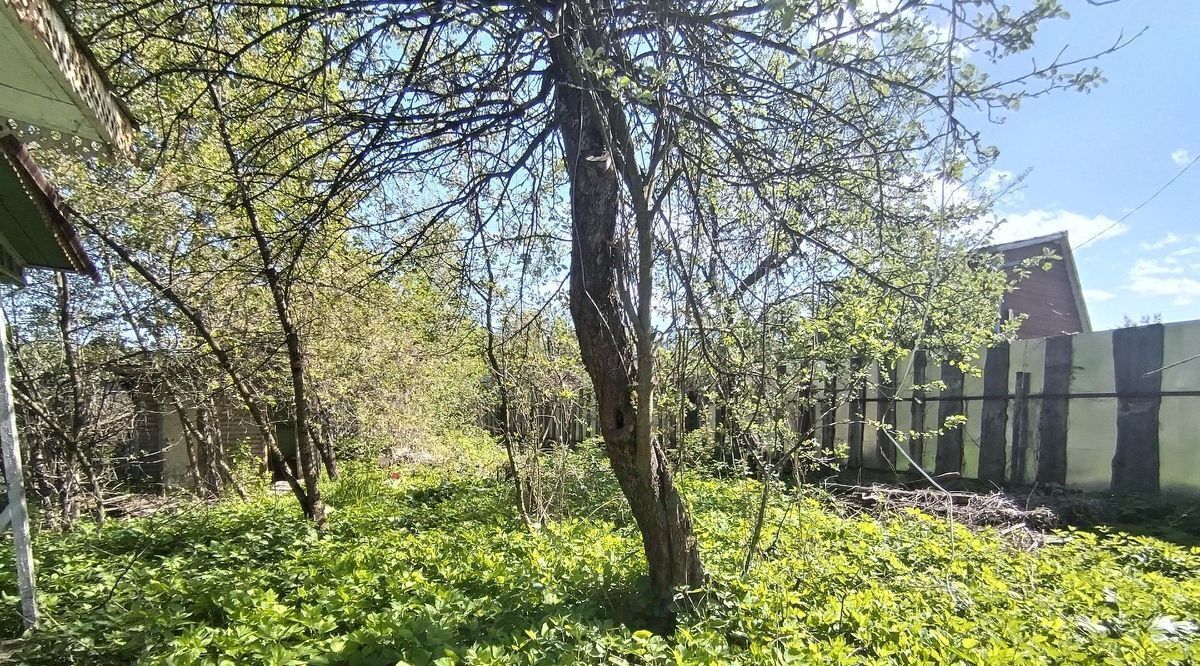 земля г Ярославль р-н Дзержинский снт Скобыкино дорожка 1-я фото 3