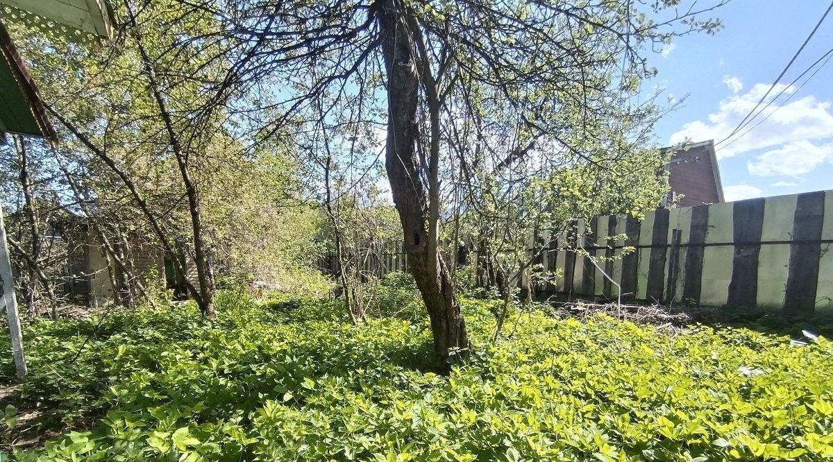 земля г Ярославль р-н Дзержинский снт Скобыкино дорожка 1-я фото 11
