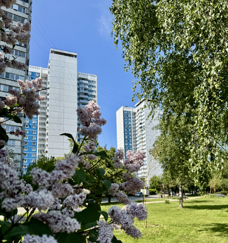 ул Свободы 61 фото