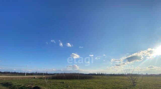 ул Калиновая фото