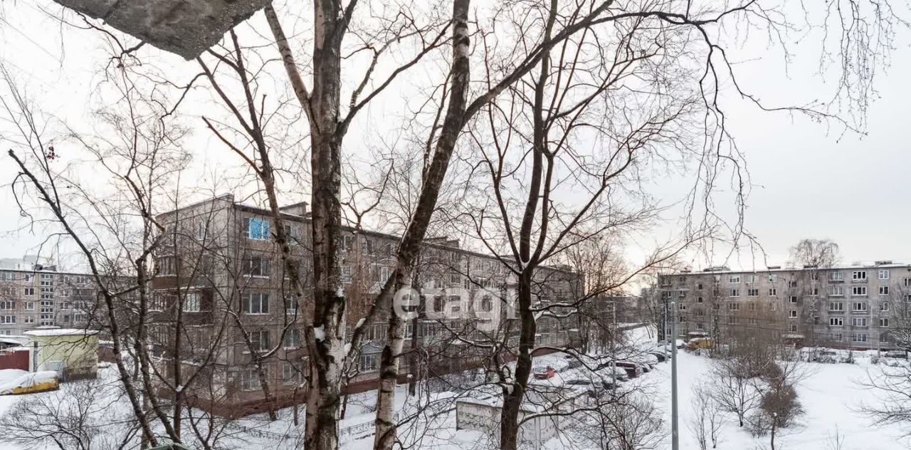 квартира г Санкт-Петербург метро Ломоносовская ул Бабушкина 95к/1 фото 12