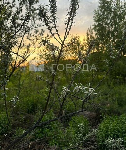 земля п Октябрьский ул Весенняя 165 Заельцовская, КП Заречный фото