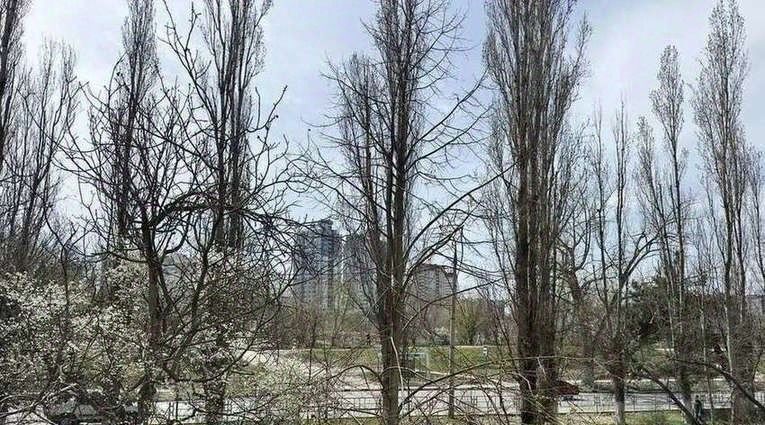 квартира г Новороссийск р-н Южный ул Героев Десантников 21 фото 4