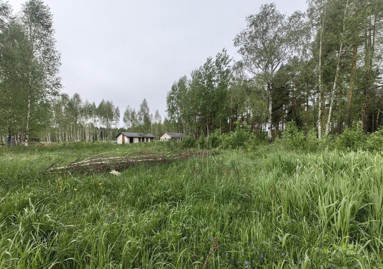 земля городской округ Богородский г Ногинск 37 км, д. Пешково, Горьковское шоссе фото 1