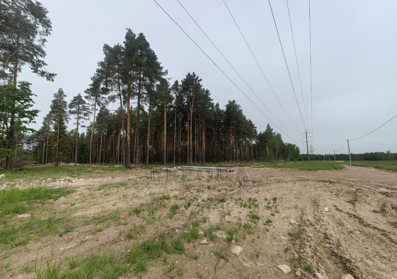 земля городской округ Богородский г Ногинск 37 км, д. Пешково, Горьковское шоссе фото 3