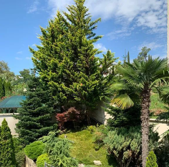 дом г Сочи р-н Хостинский пр-кт Курортный 108/10 фото 17