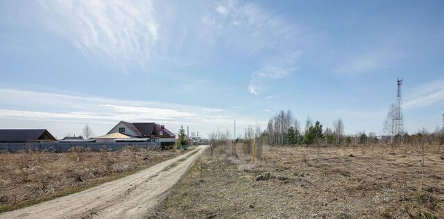 земля р-н Искитимский с Морозово фото