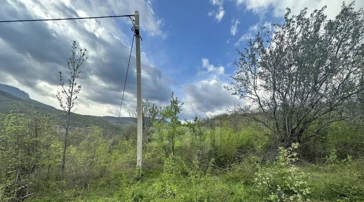 земля г Алушта с Лучистое ул Грушевая 13а фото 1