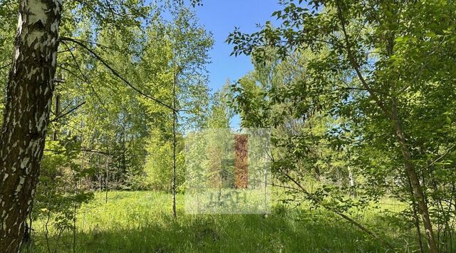 земля д Мякинино ул Березовая 2 Коломна городской округ фото