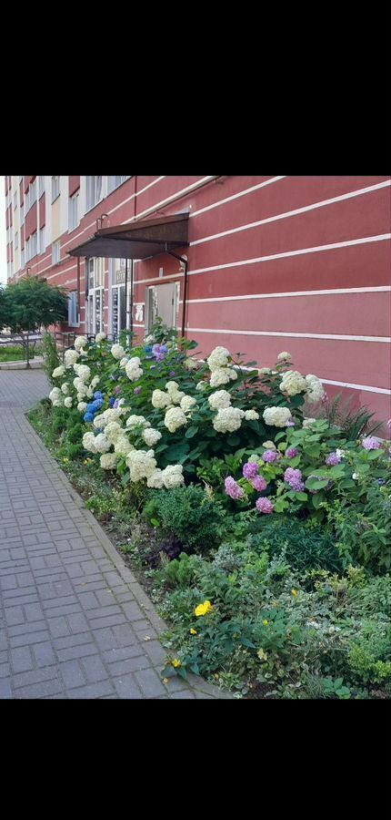 квартира г Калининград р-н Центральный ул Каблукова 11а фото 7
