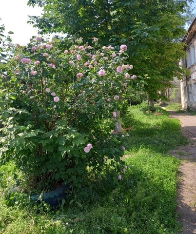 Спортивная ул Минусинская 2 фото