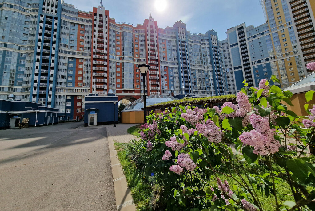 квартира г Санкт-Петербург метро Проспект Просвещения пр-кт Просвещения 43 ЖК «Лондон Парк» округ № 15 фото 3