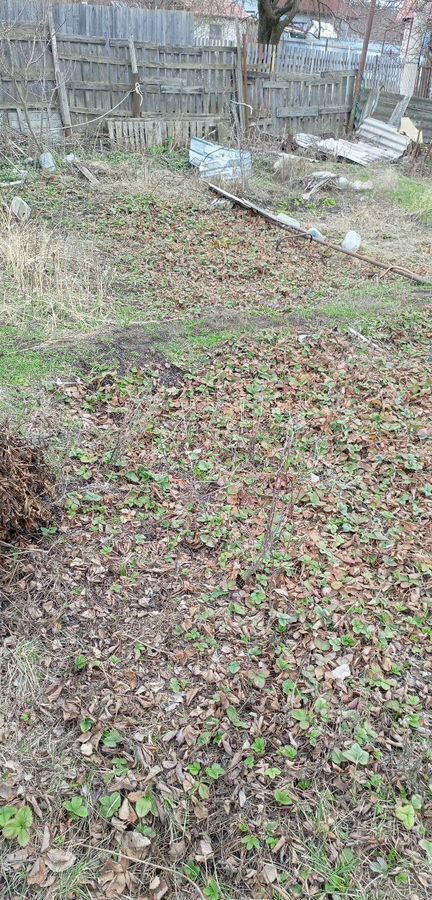 дом г Воронеж р-н Левобережный снт Садовод ВАСО ул 20 775 фото 6