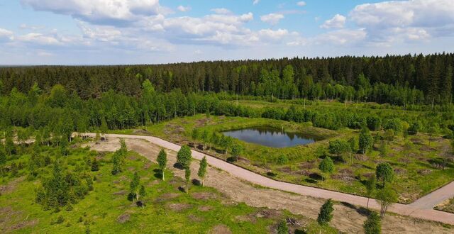 Выборгское шоссе, 34 км, Рощинское городское поселение, Рощино фото
