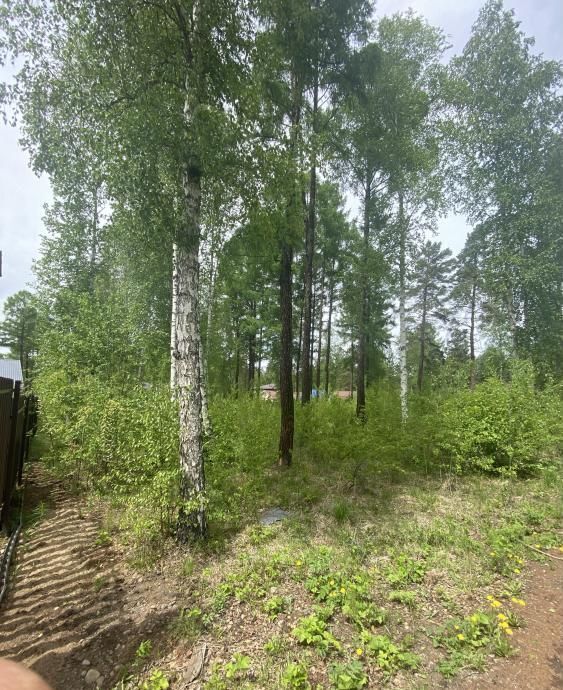 земля г Иркутск р-н Правобережный фото 3
