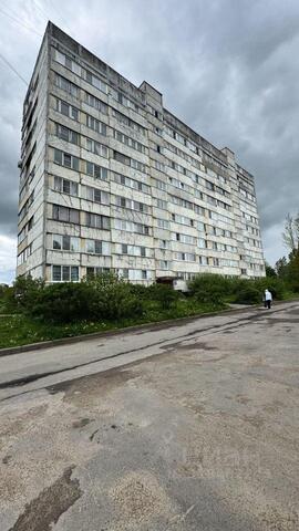 дом 24 фото