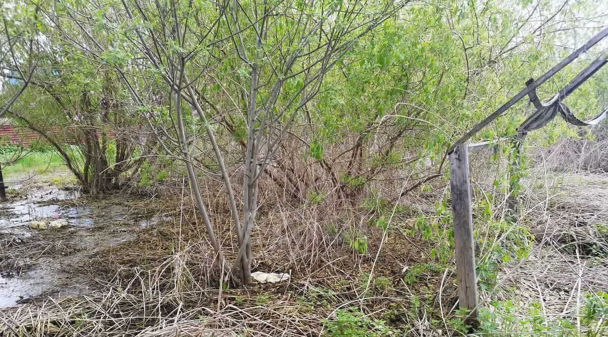 дом г Тюмень р-н Центральный снт Степное ул Рябиновая фото 14