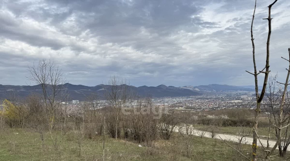 земля г Новороссийск с Борисовка снт Дружба фото 3