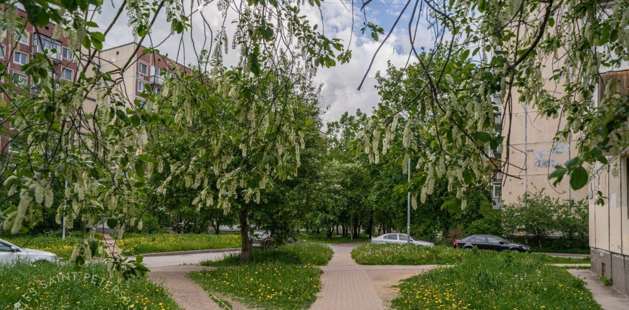 квартира г Колпино б-р Трудящихся 26 Шушары фото 28