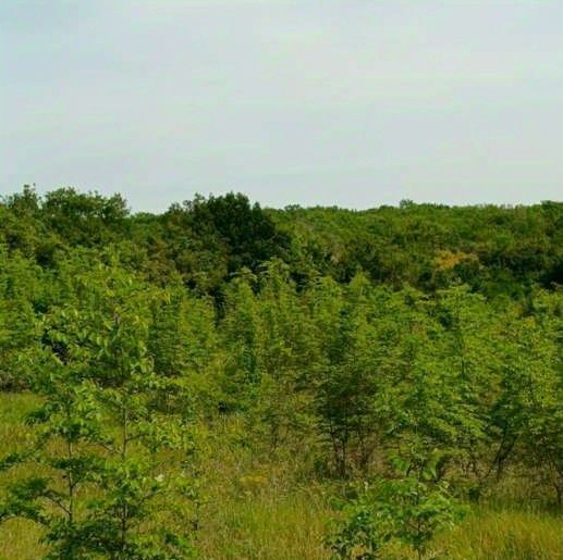 земля г Новороссийск ст-ца Натухаевская ул Заповедная 4 фото 9
