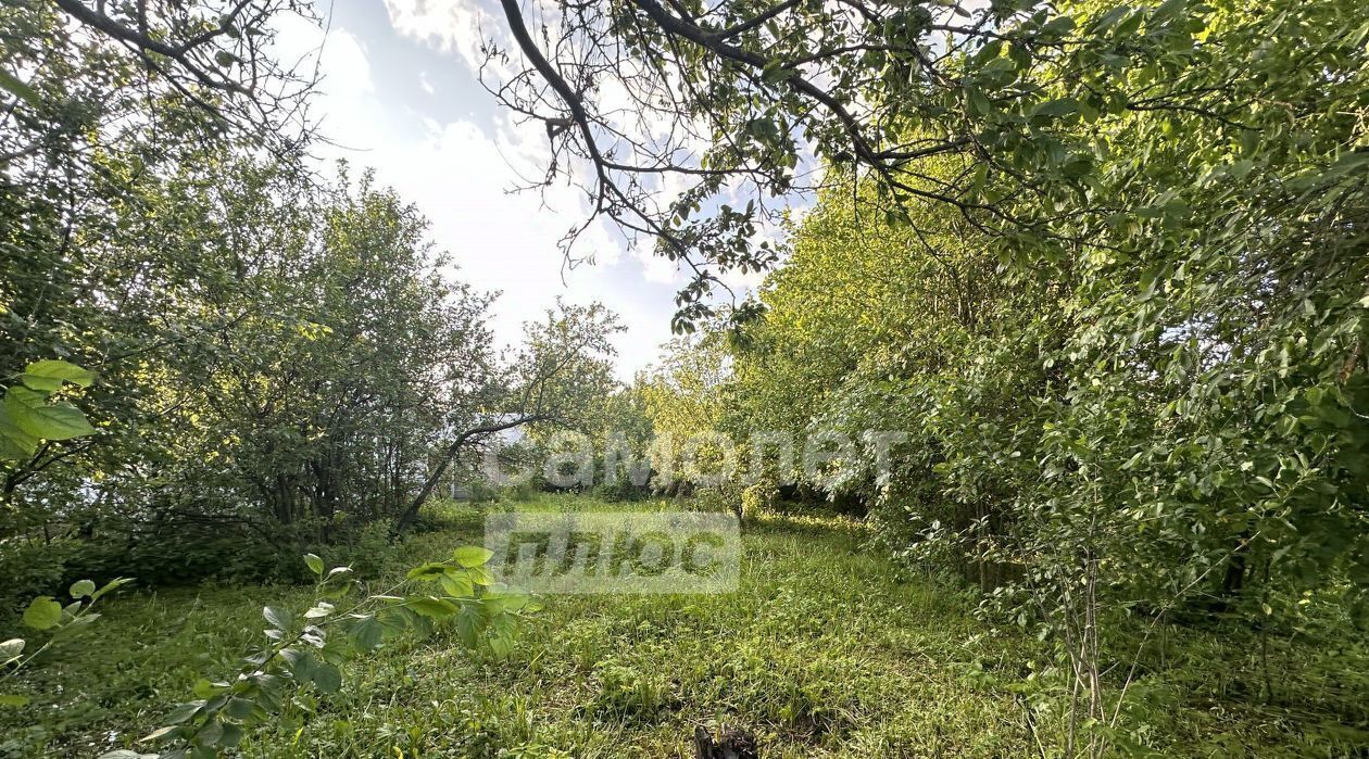 земля г Бор тер. ТСН Труд фото 2