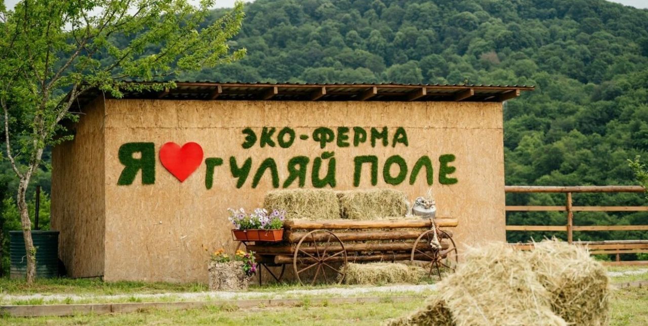 дом г Сочи р-н Адлерский с Ермоловка с Илларионовка р-н Адлерский с Ермоловка ул. Ермоловская, 7 фото 22