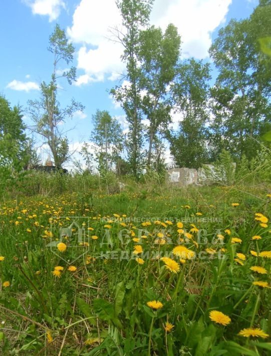 земля г Кемерово р-н Заводский снт Сухой Искитим 57 фото 3