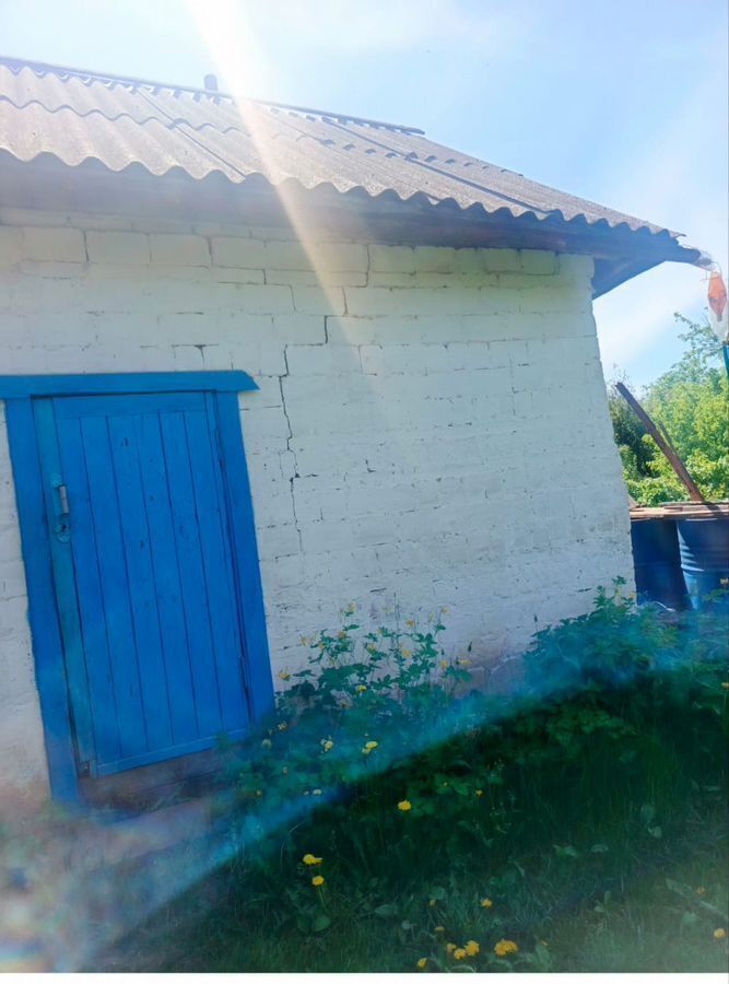 дом р-н Агрызский г Агрыз снт им 50-летия Октября Республика Татарстан Татарстан, муниципальное образование Агрыз, 7-я ул., 50 фото 4