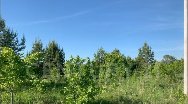 снт Карамалы сельсовет, Акбердинский фото снт Карамалы сельсовет, Акбердинский фото