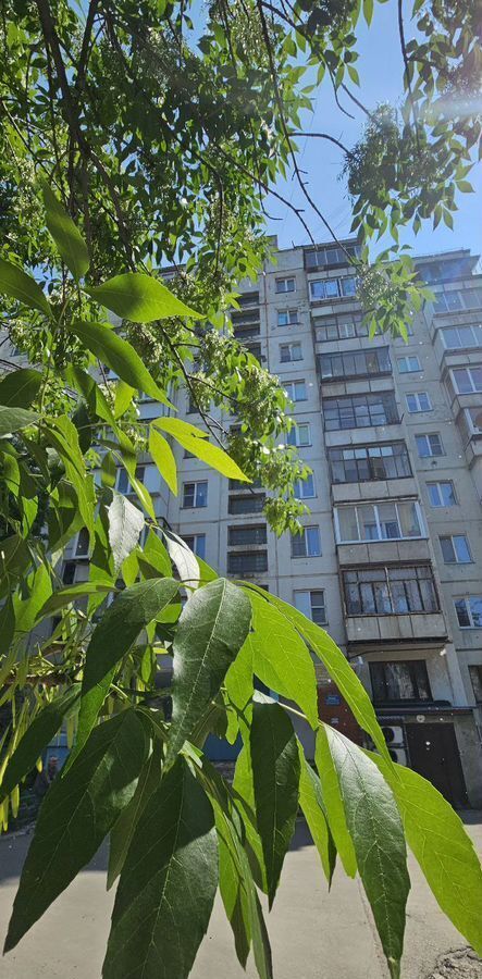 квартира г Челябинск р-н Курчатовский ул Молодогвардейцев 48 фото 1
