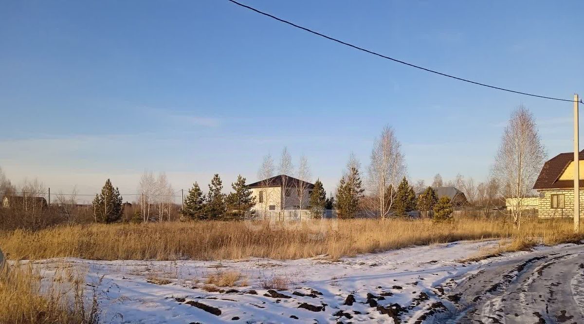 земля г Шадринск ул Коурова фото 3