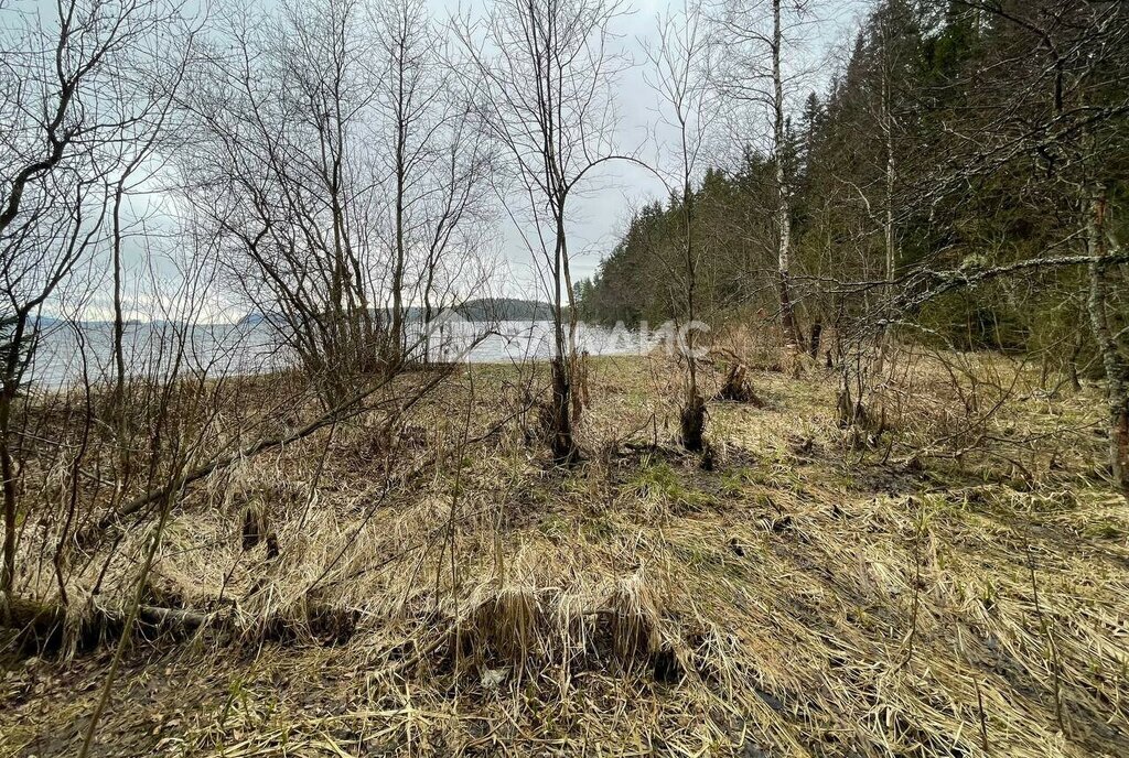 земля г Сортавала п Вуорио снт Ладожский Сортавальский муниципальный округ, парк, 2 фото 12
