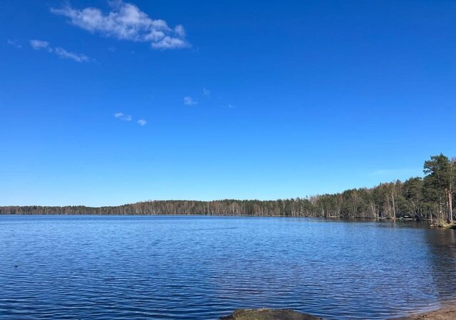 ул Ясеневая Дорога жизни, 11 км, Всеволожское городское поселение фото