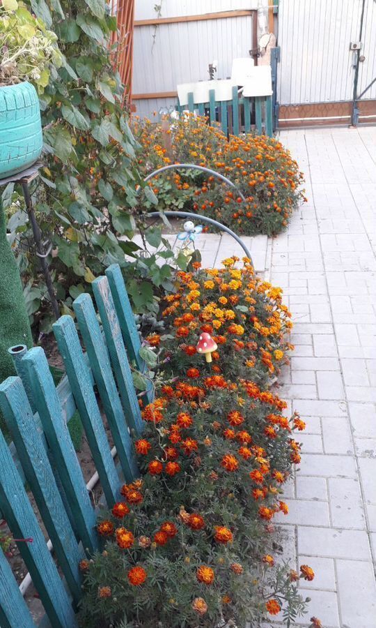 дом г Яровое ул Кирова 56 фото 4