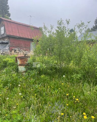 р-н Дзержинский снт тер.Золотая Горка аллея М фото
